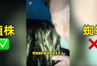 200万粉丝网红诋毁袁隆平成果：“变态杂交”