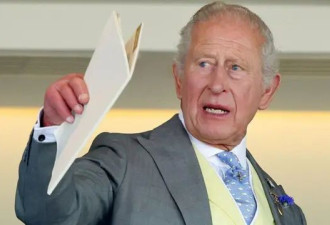 英王查尔斯报税表上的三处"与众不同"