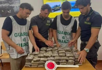 度假天堂变毒窟!义大利小岛洞藏40kg大麻,逾1590万