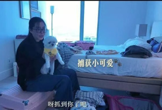 王祖贤加拿大家中内景被曝光，房间不大却很舒服