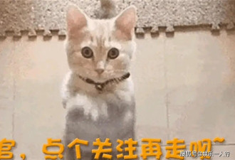 目光不会欺骗，朱之文揭示前儿媳与现任儿媳差异