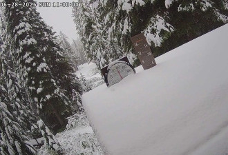 “罕见6月雪”袭美3州！32度夏天秒变冬天