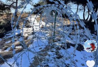 泰山周边建起135公里刀片刺绳隔离网？多部门回复