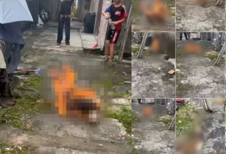揭阳4少年当街棍打幼犬 淋油烧死母狗 未满14岁