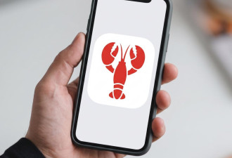 养龙虾不用电脑 OpenClaw推出手机版