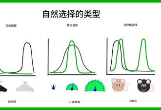 为什么人老了一身病：自然选择不在乎你的晚年