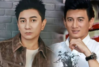 娱乐圈高学历的明星,名校出身碾压众人,学识让人佩服
