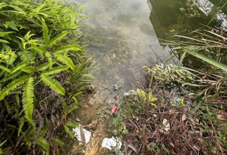 刺刀峡谷5人溺亡,曾有人质疑雨天,领队不以为然
