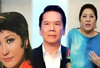 向太或许也没想到，她一手带大的向佐，竟为向华强前妻做了嫁衣
