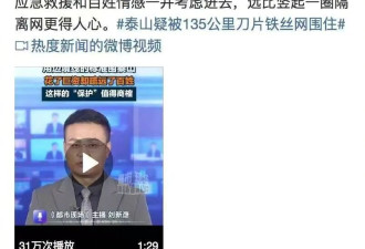 胡锡进：拉135公里“刀片”围泰山，真是很滑稽