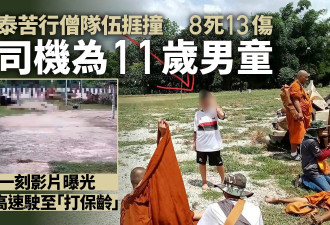 苦行僧队伍挨撞8死13伤 肇事司机为11岁男童
