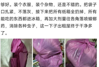 在拼多多的评论区 看见一个真实的农村