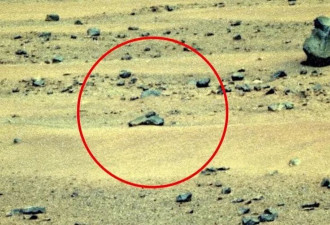 火星旧照惊见"外星人手枪"？UFO专家：NASA早知情