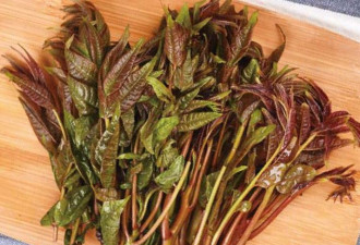 这种蔬菜能抑制癌细胞 但吃错了也会中毒