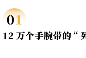 一群中年谋生者，在电商“鱼塘”失去两千万