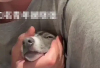 买超回应“没有离婚只有丧偶”言论：不用在乎那会的事情