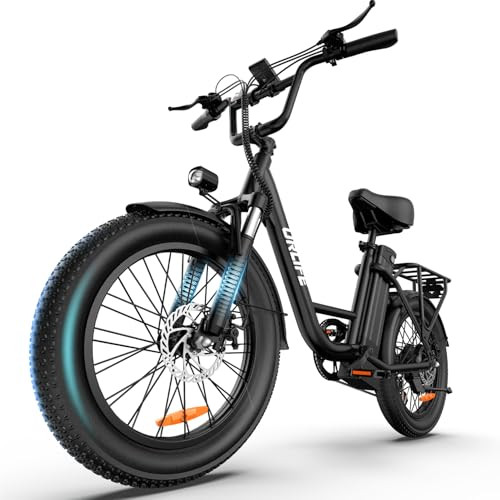 URLIFE Electric Bike 48V 13AH Fat Tire