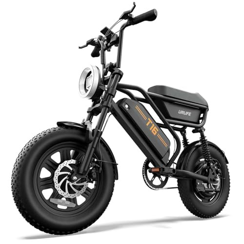 URLIFE 1000W Electric Dirt Bike