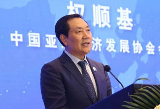 曾有100名副会长，“中字头”协会会长任上被查