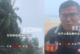 美莎克风球登陆海南陵水最大风力9级 椰树被吹弯