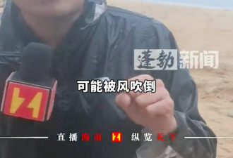 美莎克风球登陆海南陵水最大风力9级 椰树被吹弯