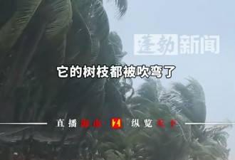 美莎克风球登陆海南陵水最大风力9级 椰树被吹弯