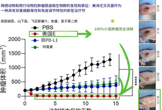 单次注射消灭100%肿瘤：癌症治疗规则或被改写