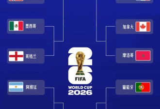 世界杯16强全部确定 对阵形势图