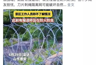 泰山建135公里刀片刺绳隔离网，真能防火防虫吗？
