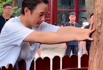 婚变传闻水落石出，罗晋似走上陈晓老路