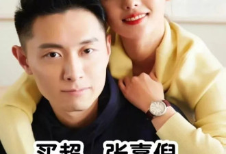 张嘉倪争到儿子抚养权和8位数抚养费