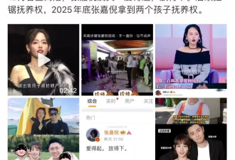 张嘉倪争到儿子抚养权和8位数抚养费