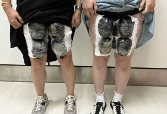 8名旅客穿宽大裙子绑藏33只活体龟入境被查获