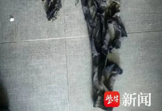 在新疆遭泥石流卷走的苏州母子已被找到 均已遇难