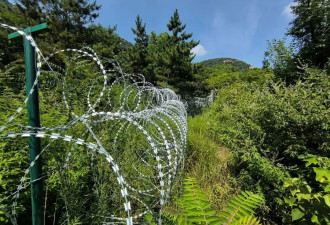 135公里"刀片刺绳":存在多年,当地居民进山受阻