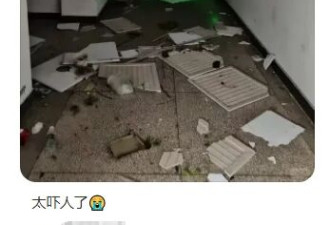 湖北多地遭遇龙卷风袭击 画面恐怖 受灾严重