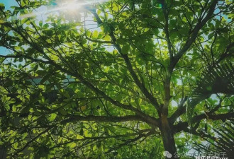 夏天出去玩？学小姐姐“裙不选短，鞋不穿高”，又美又出片