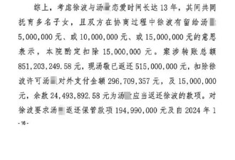 百亿富豪徐波首次证实有100多个孩子 “规模化...