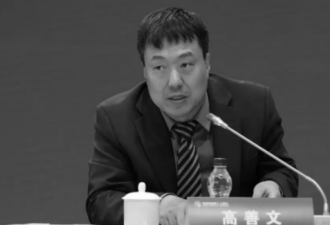 曾惹怒习近平，中国著名经济学家高善文英年早逝