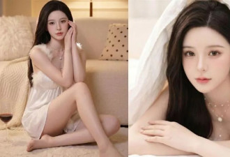 中国又一款伴侣机器人发布！主打:有体温+触觉感知…