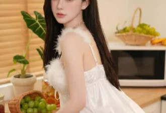 中国又一款伴侣机器人发布！主打:有体温+触觉感知…