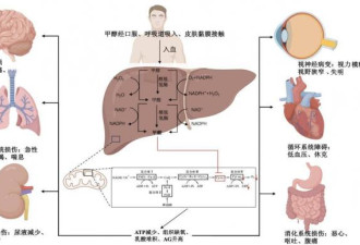 死亡率近100%，国内暂无解药，50毫升就可致死