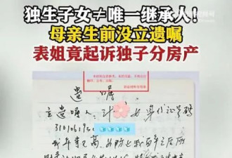 独生子女≠唯一继承人 闹出越来越多的遗产纠纷?