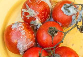 不想癌细胞恶化，少吃5类食物