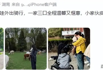 陈伟霆何穗带娃骑行路透炸街！小Win冷白皮复刻何穗，改装单车藏了陈伟霆宠妻小心机