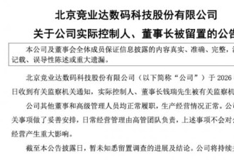突发：中国科技上市公司董事长被留置