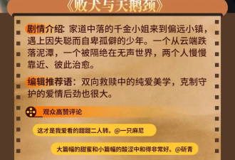 在内娱偶像剧少见的正常人，短剧里一抓一大把