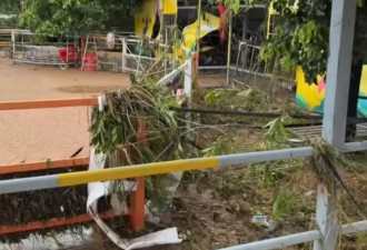 洪水到来前，一个动物园老板选择“锁死猛兽区笼门”