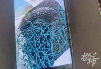 男子好心解救大蛇反遭“锁喉”,将蛇牙剪掉才脱险