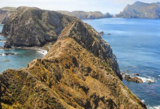 美国惊现1.3万年前“失落世界”